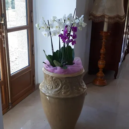 Chez Celine Отель типа 