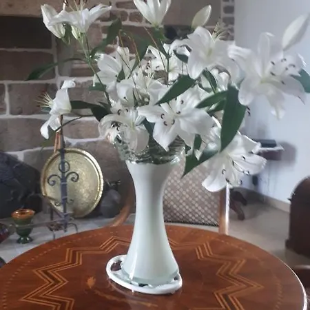 Frühstückspension Chez Céline *